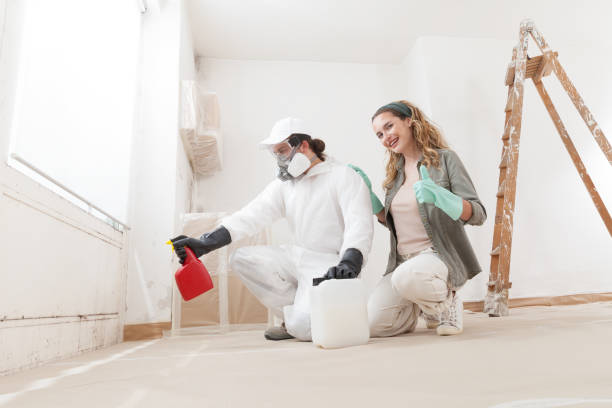 Best Mold Removal for HVAC Installations  in USA